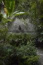Le jardin des plantes de milieu tropical forestier : fontaine conue par Humphrey Waterfield.