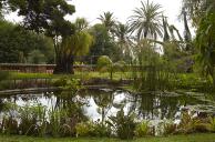 Le jardin des plantes d'eau : le grand bassin  la fin du printemps.