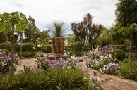 Le jardin rgulier : les parterres  la fin du printemps. Massifs floraux intgrant strelitzias, hibiscus et papayers.