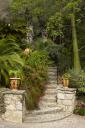La cour d'entre : escalier permettant d'accder au jardin des plantes de milieu tropical sec (vue rapproche).