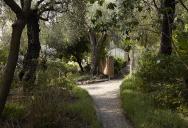Le jardin des plantes de climat mditerranen : sentier bord d'oliviers conduisant  une serre.