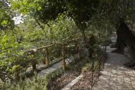 Le jardin des plantes de milieu tropical sec : vue plongeante sur la pergola.