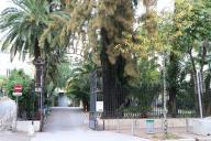 Vue rapprochée du portail d'entrée et du mur de clôture