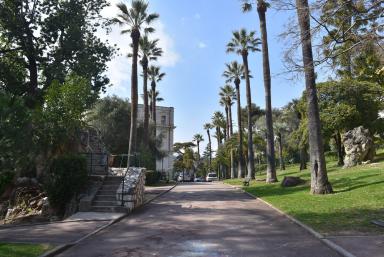 Alle du jardin public de la Villa Il Paradiso avec palmiers plants en alignement.