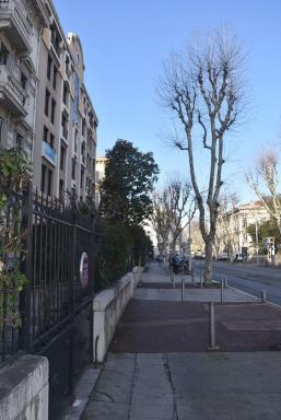 Vue du profil du boulevard, avec la succession des espaces du front urbain