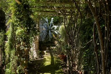 Pergola et agave.