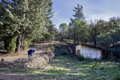 Vue générale du site.