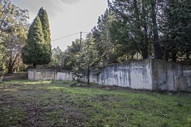 Vue partielle du site et de sa configuration en terrasse.