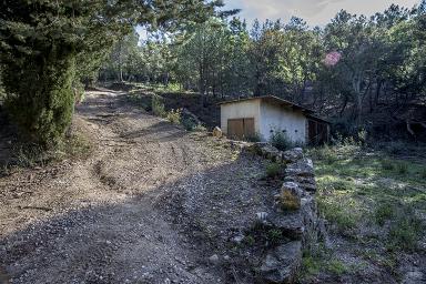Chemin d'accès au hameau.