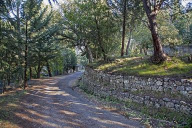 Chemin de desserte du hameau.