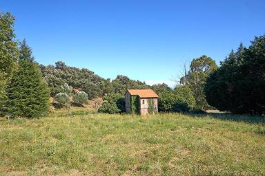 Vue partielle du site de l'ancien hameau, au fond la maison du garde forestier.