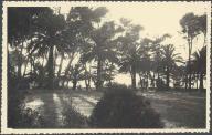 [Villa du Cap  Antibes. La grande pelouse et la couverture arbore.], vers 1950.