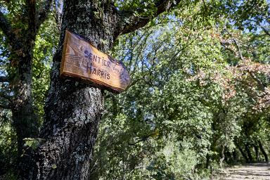 Panneau indiquant le sentier que prenaient les Harkis pour se rendre au village.
