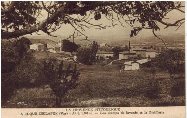 La provence pittoresque. La Roque-Esclapon (Var) - Altit. 1.000 m. - Les champs de lavande et la Distillerie, sd.