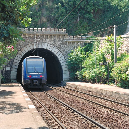 Vue d'ensemble du tunnel couronn de merlons situ  l'ouest de la gare, depuis l'est.