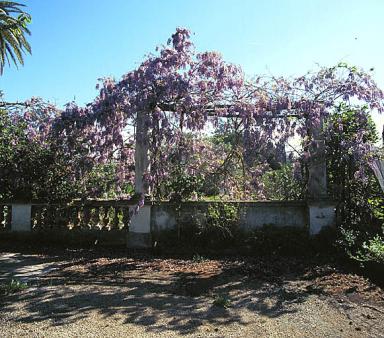 Le jardin. La balustrade et la pergola en clôture à l'extrémité est de l'avenue.