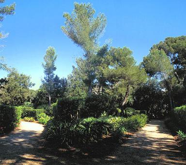 Carrefour de deux alles au nord-ouest de la villa. Vue prise vers l'est.