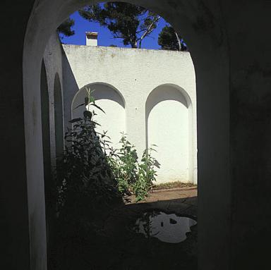 Le patio. Vue prise du porche vers l'ouest.