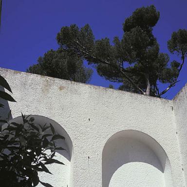 Le patio. Le côté ouest. Vue partielle prise du porche.