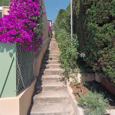 Vue d'ensemble de l'escalier reliant l'avenue Saint Estve  l'alle Saint-Estve, depuis l'est.