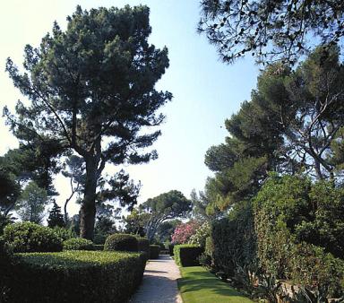 Allée régulière en bordure de la grande terrasse occidentale. Vue prise vers le sud.