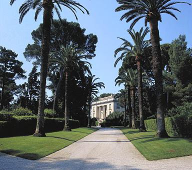 L'avenue d'accès bordée de phoenix canariensis. Au fond, la villa.