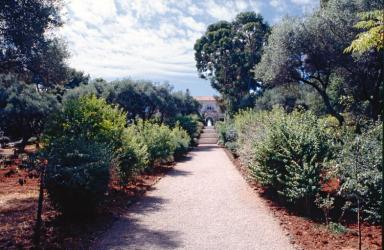 L'alle situ dans l'axe de la faade sud de la villa, depuis le sud.