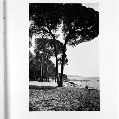 Le jardin de la Pinède et la plage.