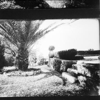 Vue partielle du jardin avec au premier plan le degrs amnag dans le mur de soutnement sud de la terrasse en terre-plein situe en avant de la faade est, photographi depuis l'ouest, vers 1940.