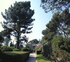 Allée régulière en bordure de la grande terrasse occidentale. Vue prise vers le sud.