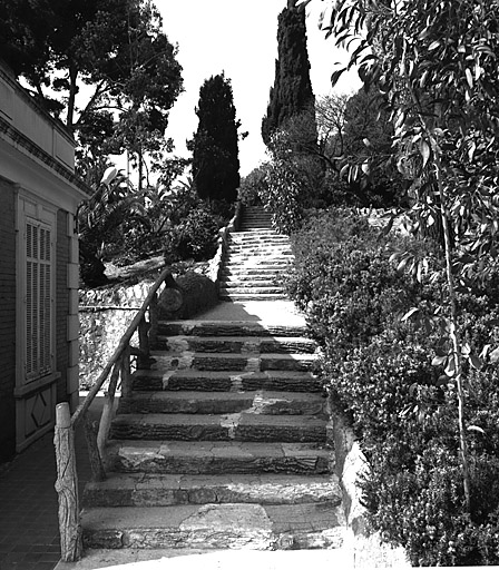 Escalier situ  l'entre du parc.