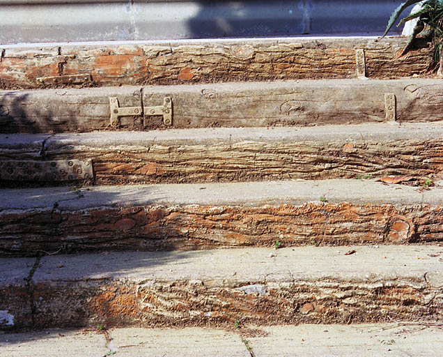 Escalier reliant la terrasse en terre-plein au parc. Dtail.