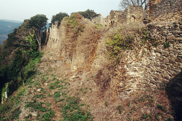 Mur d'enceinte, front ouest, vue en enfilade prise du sud-ouest.