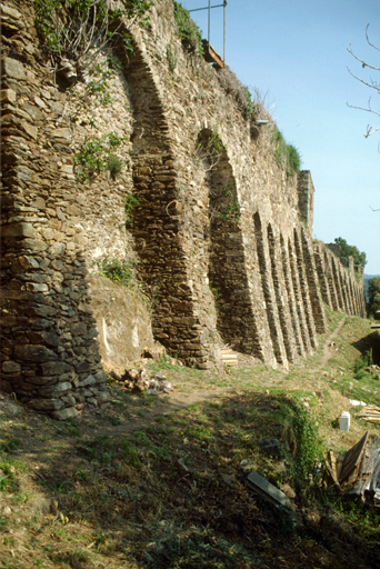 Mur d'enceinte, front est, vue d'ensemble prise du sud-est.