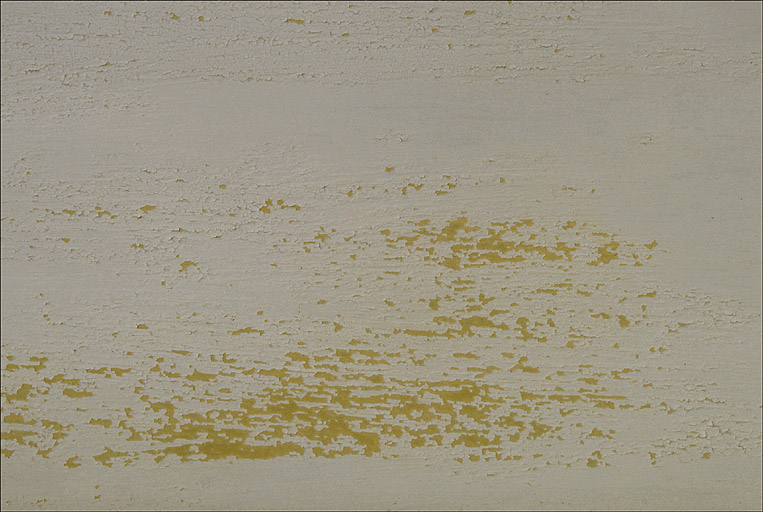 Dtail: traces de peintures jaunes sur les lames de pare-soleil, sur la faade sud.