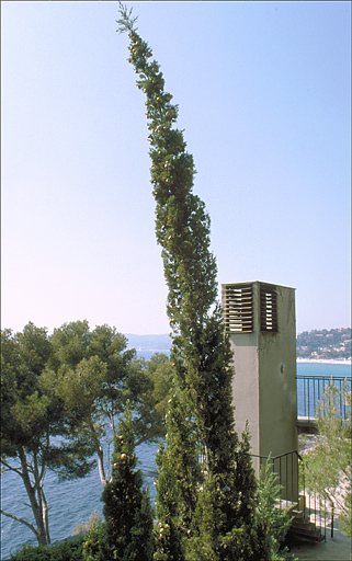 La chemine avec escalier situe  l'est, sur la dalle de couverture du premier tage de soubassement, depuis le nord-est.