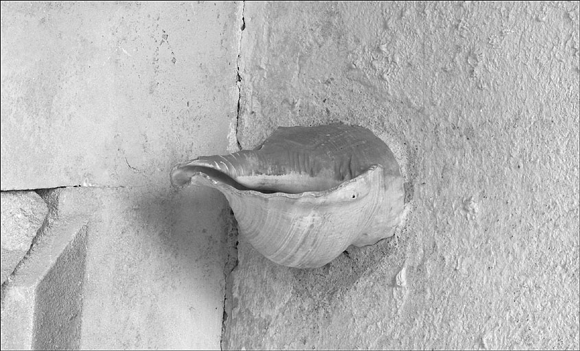 Chapelle. Dtail, coquillage ayant fonction de bnitier, situ sous le porche d'entre.