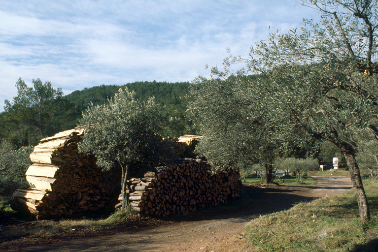 Aire de stockage du bois pour la cuisson des fours (bois de pin).