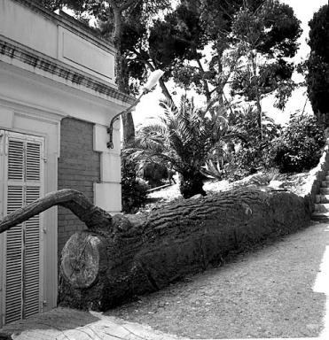 Escalier situ  l'entre du parc. Dtail.