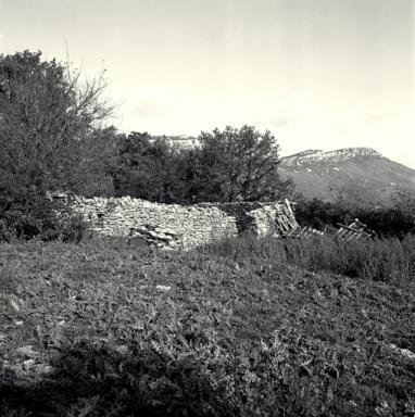 Parc  moutons, vue prise de l'est.