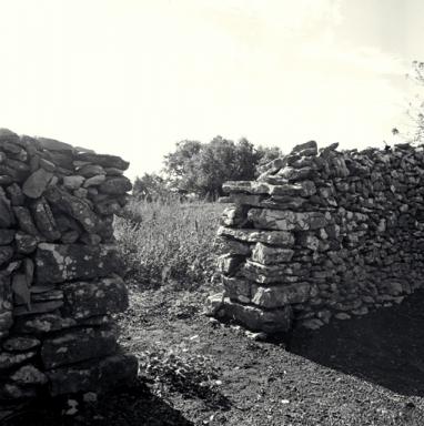 Parc  moutons, revers de l'entre de l'enclos.