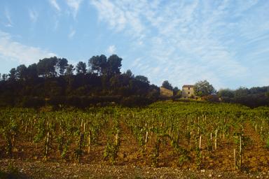 Vue de situation prise du sud.