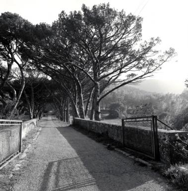 Allée, vue prise de la route.