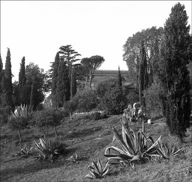 Jardin. Vue prise  l'est de la maison.