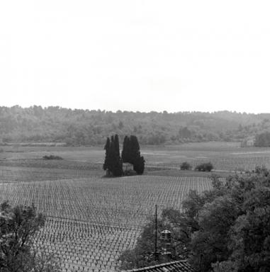 Vue de situation prise du nord.