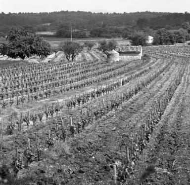 Vue de volume prise de l'ouest.