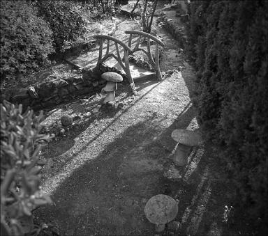 Jardin : aménagements en rocaille.