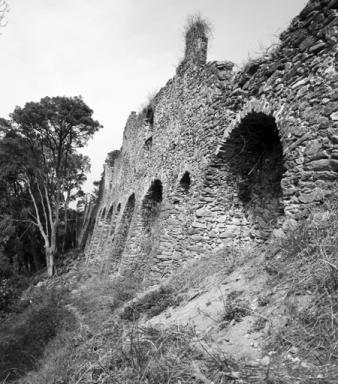 Mur d'enceinte, front ouest, section nord, vue en enfilade prise du sud-ouest.