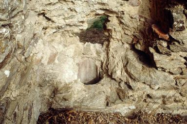 Cellule 6. Atelier, intérieur, mur nord, latrine.