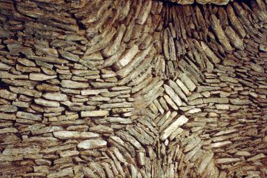 Grand cloître. Intérieurs, galerie est, détail d'une travée de la voûte.